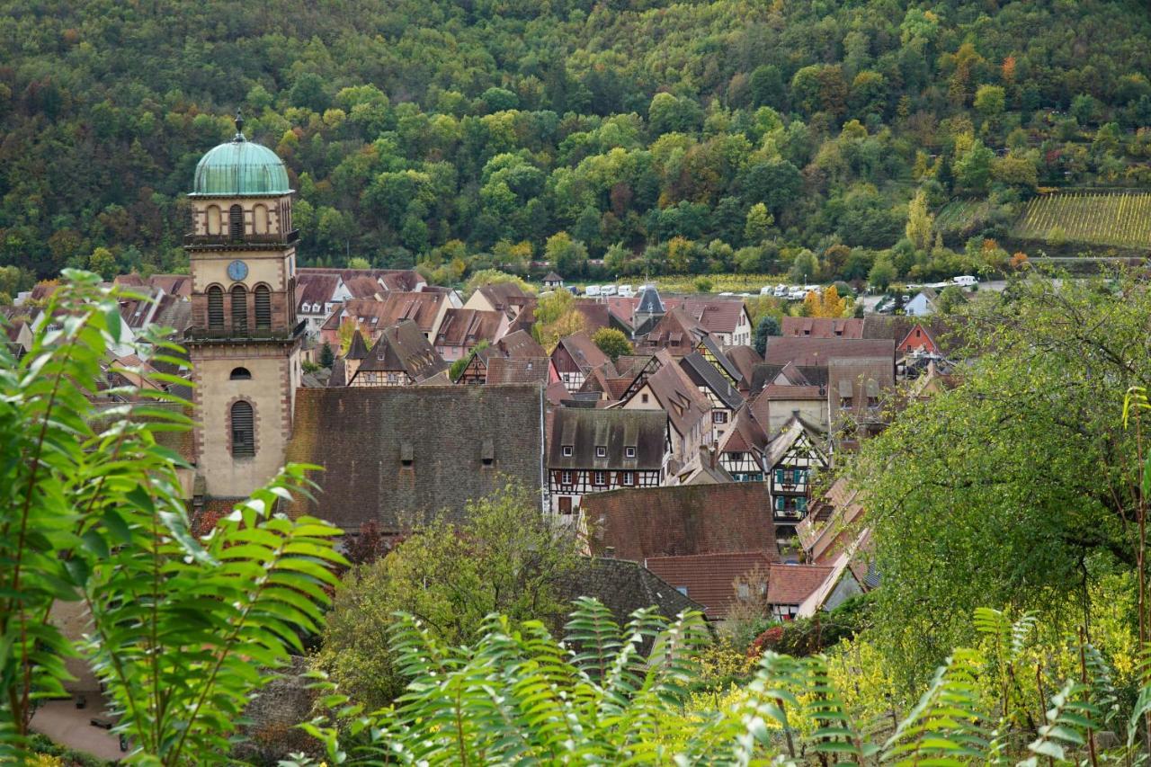 Gite Du Xve Kaysersberg-Vignoble Екстериор снимка