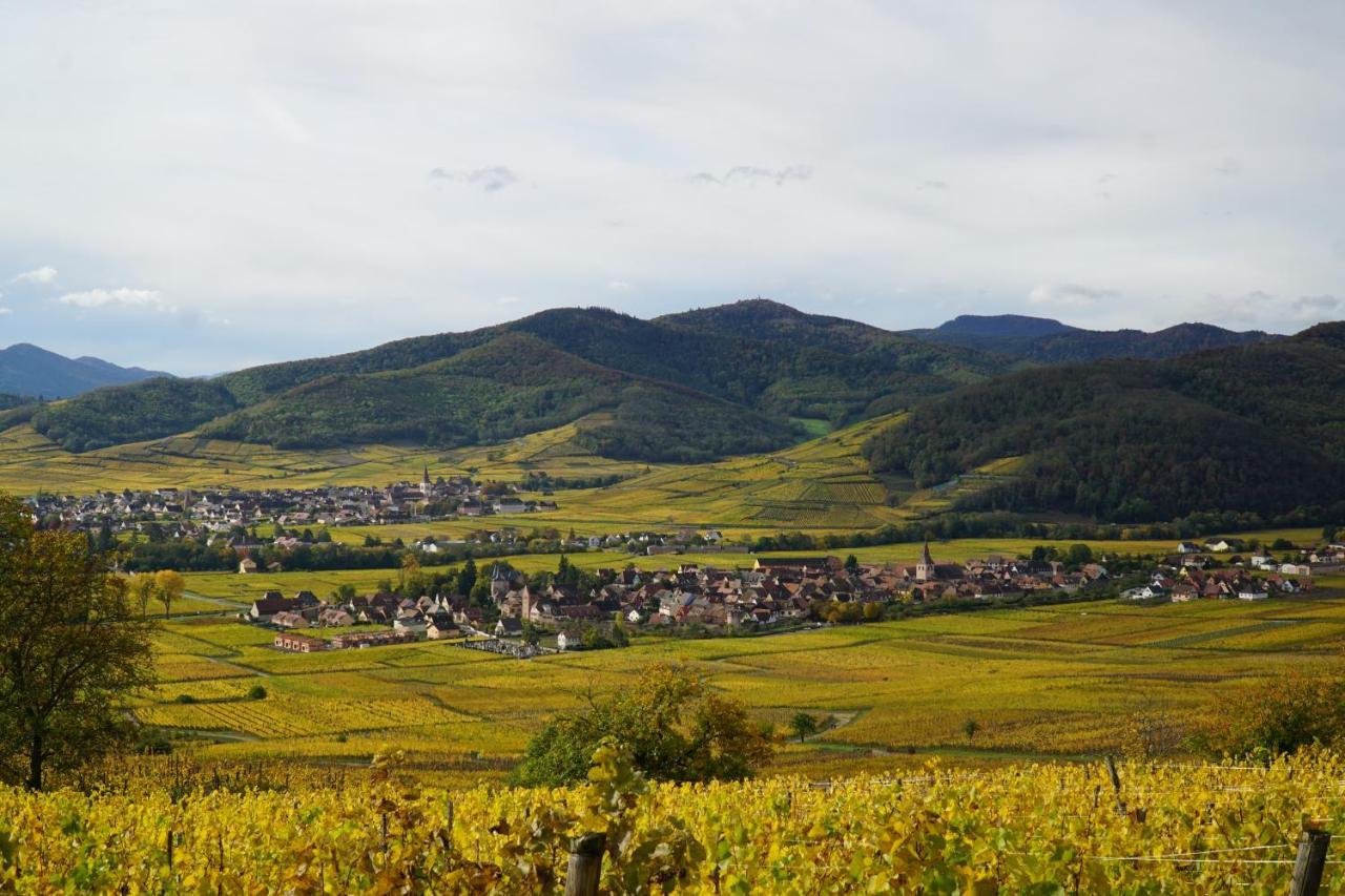 Gite Du Xve Kaysersberg-Vignoble Екстериор снимка